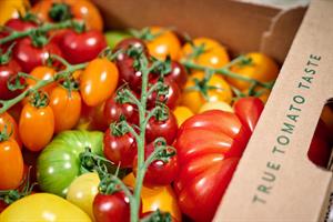 IOW tomatoes